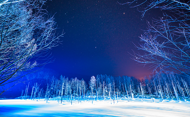 青い池　冬のライトアップ