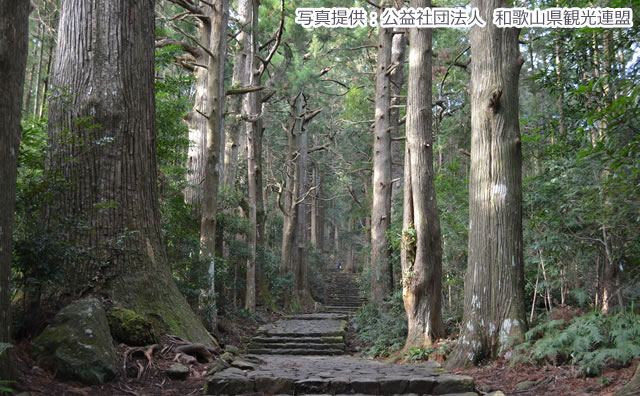 大門坂（写真提供：公益社団法人　和歌山県観光連盟） のイメージ
