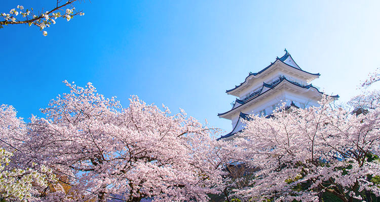 近年ブームになっている城めぐり！ 城めぐりの見どころや日本の名城をご紹介！