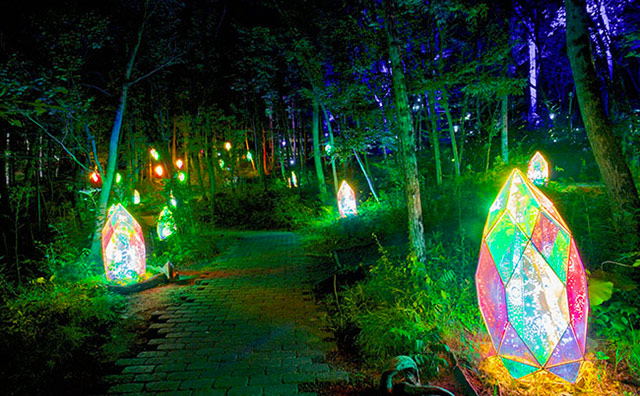 童話の森ライトアップ 妖精の小径