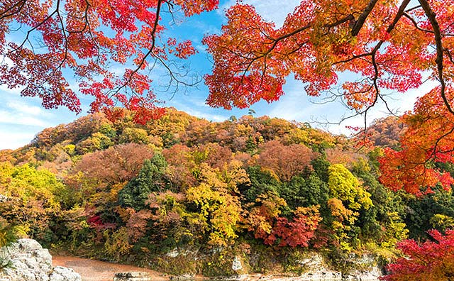 秋の長瀞渓谷のイメージ