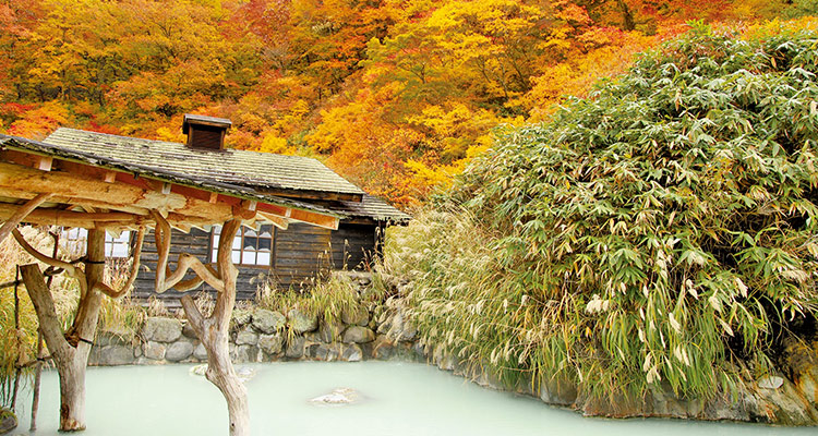 【関東・東北】温泉も紅葉も楽しみたい！列車で行く秋のよくばり旅の記事のイメージ