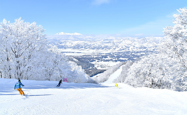 野沢温泉スキー場のイメージ