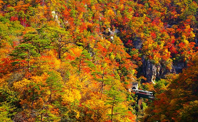 紅葉の季節は鳴子峡へ！ビュースポットや周辺の観光スポットも紹介