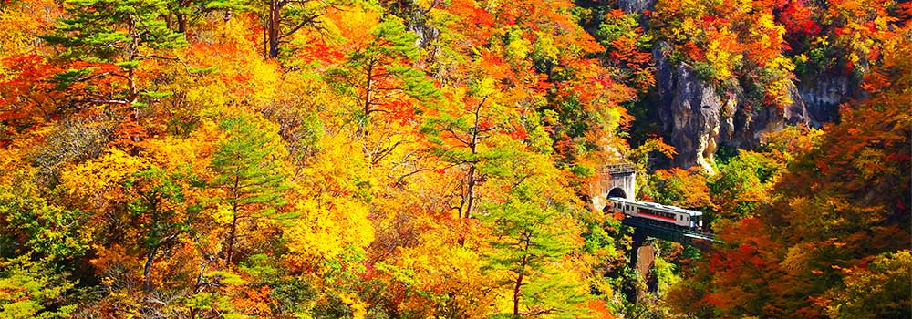 紅葉の季節は鳴子峡へ！ビュースポットや周辺の観光スポットも紹介のイメージ