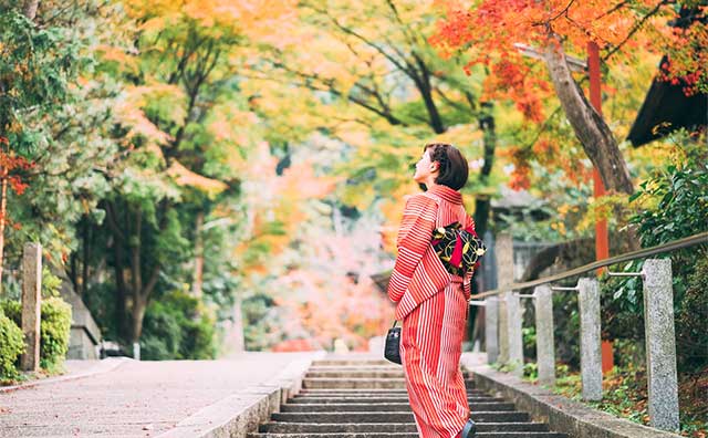 京都の紅葉穴場スポット&名所9選！お寺以外の庭園や公園も紹介