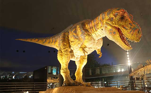福井県立恐竜博物館で注目すべき見どころ8選と周辺ホテル5選を紹介