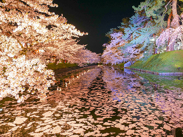 弘前の桜がすごい！花筏やハートの桜など絶景に酔いしれる。
