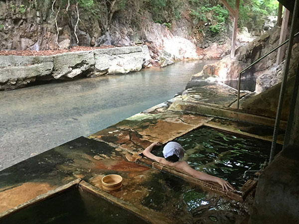 東大生が教える夏休みの自由研究｜キャベツで塩原温泉の泉質を調査！