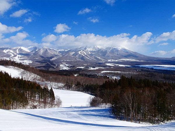 新幹線で行きやすいスキー場9選。温泉、買い物など観光情報も！のイメージ