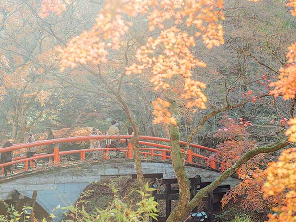 秋の群馬・伊香保温泉。朱色の河鹿橋と紅葉の美しい景観に出合う