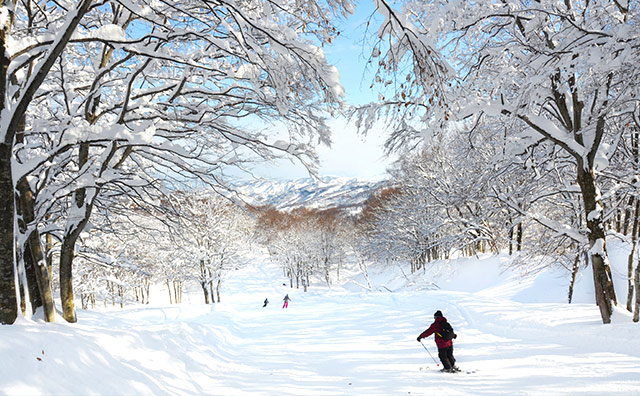 上越国際スキー場　ゲレンデのイメージ