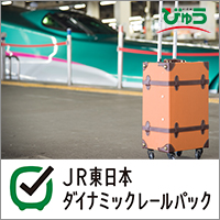 JR東日本ダイナミックレールパック