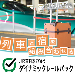 JR東日本ダイナミックレールパック