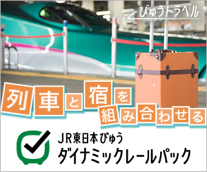 JR東日本びゅうダイナミックレールパック