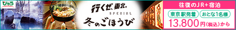 東北旅行　びゅう