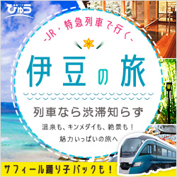 列車で行く伊豆旅行　びゅう