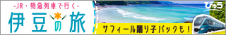 列車で行く伊豆旅行　びゅう