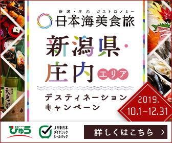 えきねっと　びゅう国内ツアー