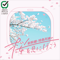 えきねっと　びゅう国内ツアー