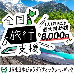 びゅうトラベル（えきねっと JR東日本国内ツアー）