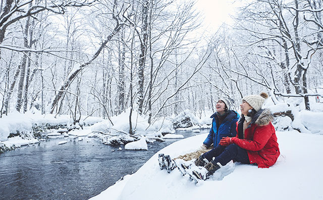 冬の奥入瀬渓流を楽しむツアーも開催予定 イメージ