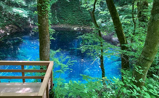 アオーネ白神十二湖　青池