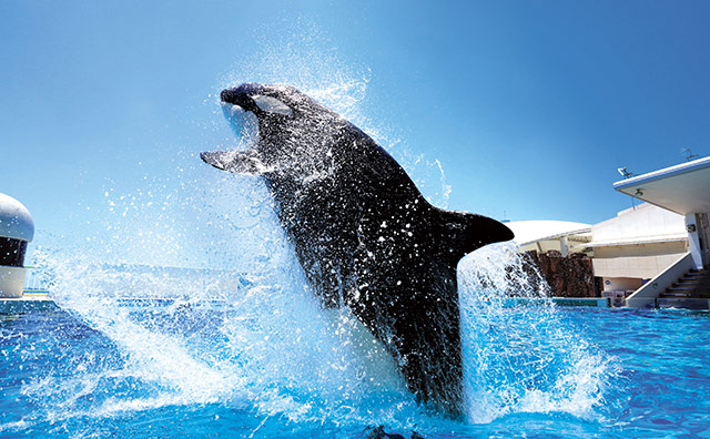 鴨川シーワールドホテル