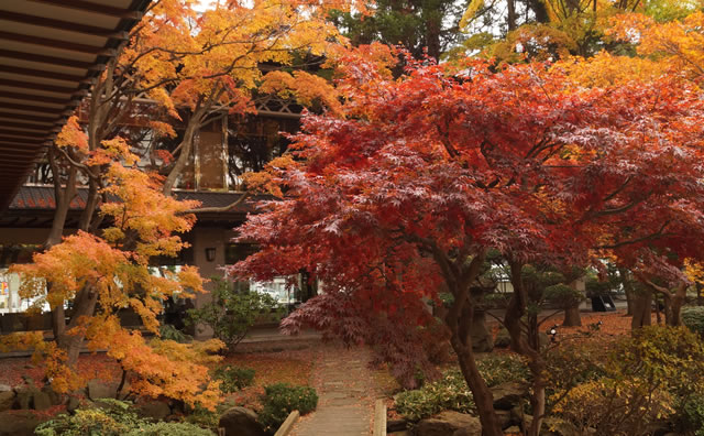 函館湯の川温泉　湯元啄木亭