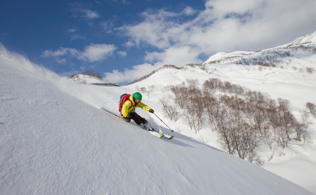 アライマウンテンリゾート