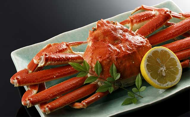 日本の宿　のと楽