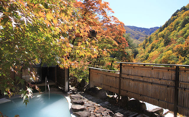 白骨温泉 湯元齋藤旅館