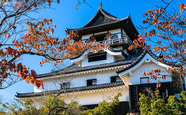 国宝犬山城