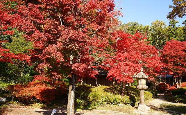 国宝犬山城