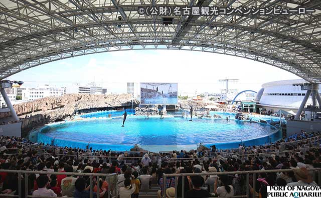 名古屋港水族館　メインプール