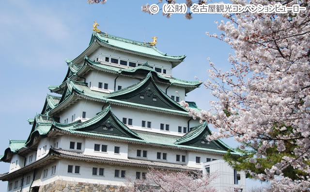 名古屋城のさくら