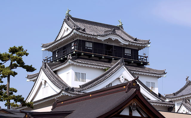 岡崎城（岡崎公園）のイメージ
