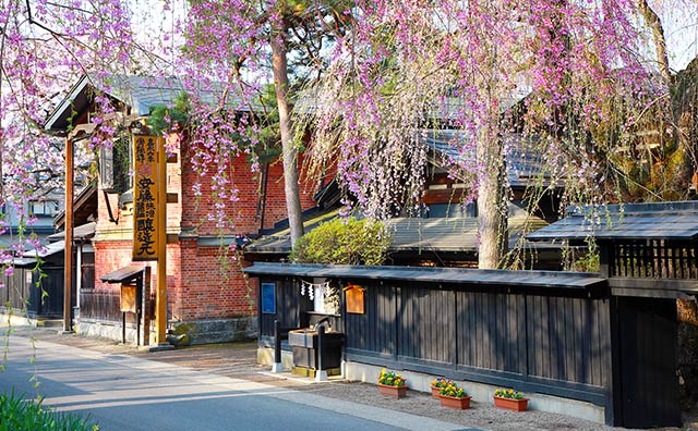 安藤醸造【本店】で使える利用券2,000円分付き