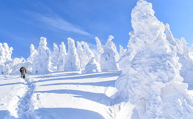 森吉山の樹氷のイメージ