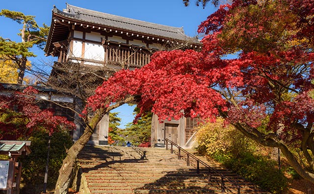 千秋公園　久保田城表門（一の門）