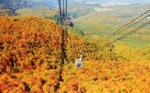 八甲田山ロープウェイと目に染みる紅葉