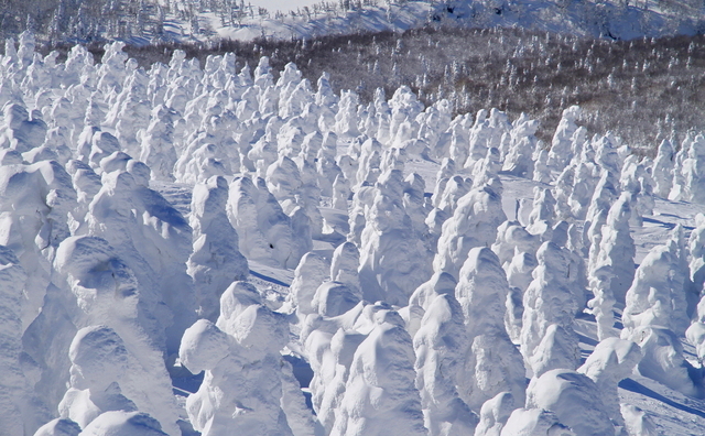 八甲田山の樹氷イメージ