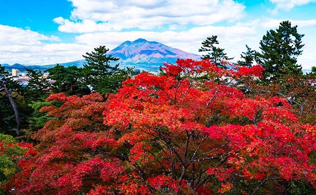 岩木山　紅葉