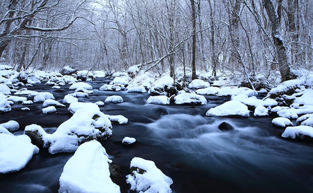 奥入瀬渓流