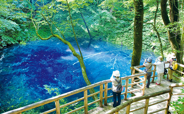 白神山地 十二湖・青池