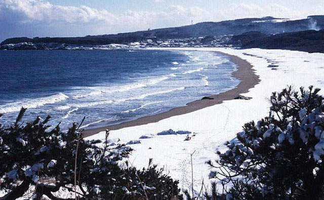 冬季の種差海岸のイメージ