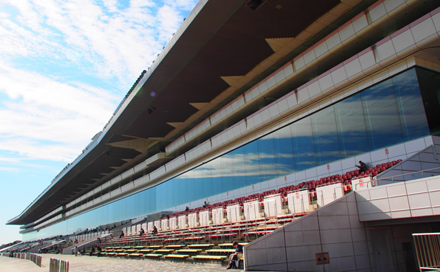 中山競馬場 のイメージ