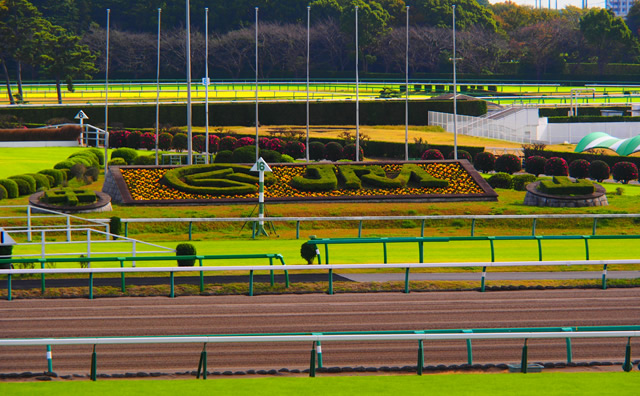 中山競馬場 のイメージ