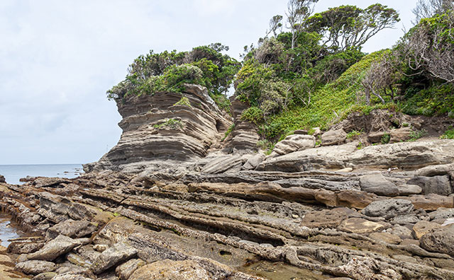 沖ノ島島内