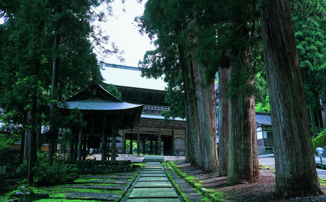 新緑の永平寺（大本山永平寺提供）